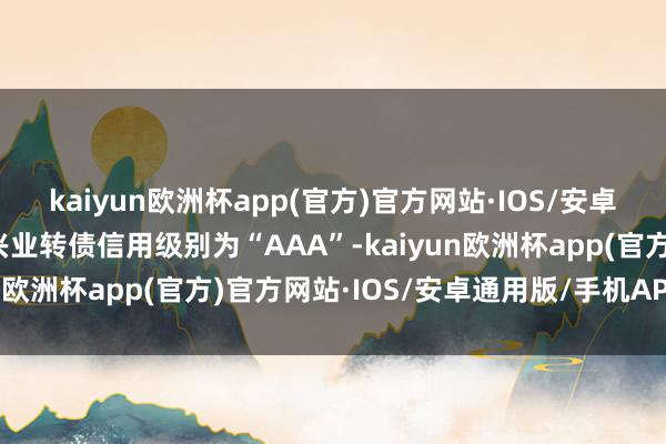 kaiyun欧洲杯app(官方)官方网站·IOS/安卓通用版/手机APP下载兴业转债信用级别为“AAA”-kaiyun欧洲杯app(官方)官方网站·IOS/安卓通用版/手机APP下载