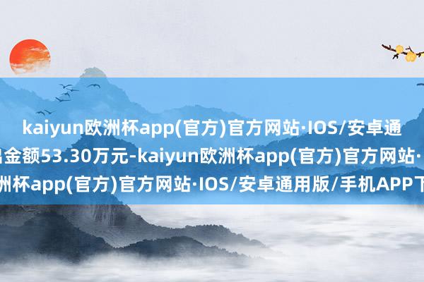 kaiyun欧洲杯app(官方)官方网站·IOS/安卓通用版/手机APP下载卖出金额53.30万元-kaiyun欧洲杯app(官方)官方网站·IOS/安卓通用版/手机APP下载