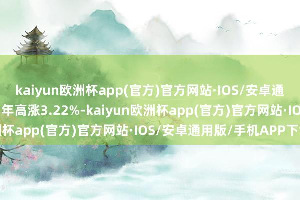 kaiyun欧洲杯app(官方)官方网站·IOS/安卓通用版/手机APP下载近1年高涨3.22%-kaiyun欧洲杯app(官方)官方网站·IOS/安卓通用版/手机APP下载