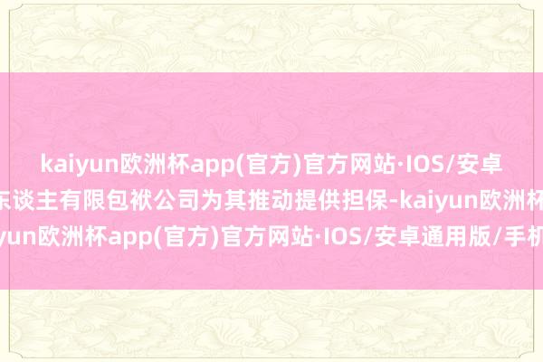 kaiyun欧洲杯app(官方)官方网站·IOS/安卓通用版/手机APP下载一东谈主有限包袱公司为其推动提供担保-kaiyun欧洲杯app(官方)官方网站·IOS/安卓通用版/手机APP下载