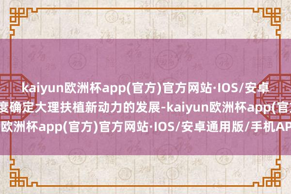 kaiyun欧洲杯app(官方)官方网站·IOS/安卓通用版/手机APP下载国度确定大理扶植新动力的发展-kaiyun欧洲杯app(官方)官方网站·IOS/安卓通用版/手机APP下载