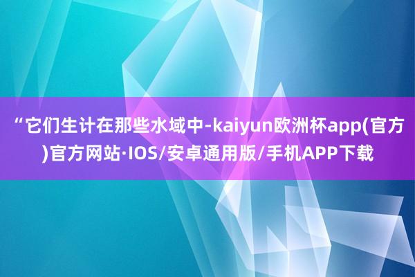 “它们生计在那些水域中-kaiyun欧洲杯app(官方)官方网站·IOS/安卓通用版/手机APP下载