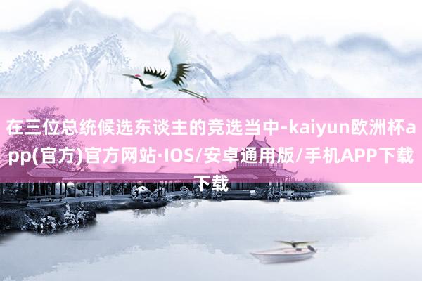 在三位总统候选东谈主的竞选当中-kaiyun欧洲杯app(官方)官方网站·IOS/安卓通用版/手机APP下载