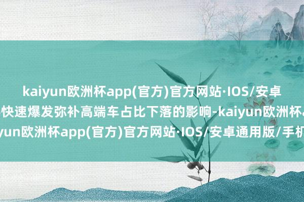 kaiyun欧洲杯app(官方)官方网站·IOS/安卓通用版/手机APP下载L6快速爆发弥补高端车占比下落的影响-kaiyun欧洲杯app(官方)官方网站·IOS/安卓通用版/手机APP下载