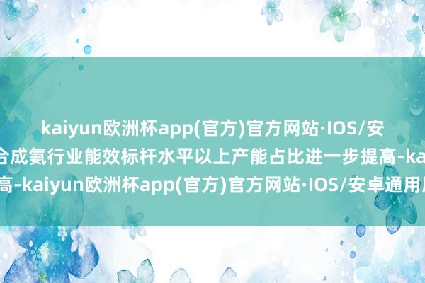 kaiyun欧洲杯app(官方)官方网站·IOS/安卓通用版/手机APP下载合成氨行业能效标杆水平以上产能占比进一步提高-kaiyun欧洲杯app(官方)官方网站·IOS/安卓通用版/手机APP下载