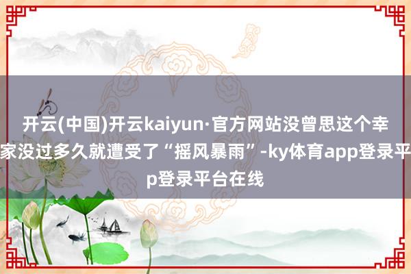 开云(中国)开云kaiyun·官方网站没曾思这个幸福的小家没过多久就遭受了“摇风暴雨”-ky体育app登录平台在线