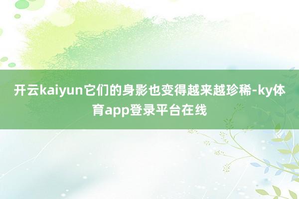 开云kaiyun它们的身影也变得越来越珍稀-ky体育app登录平台在线