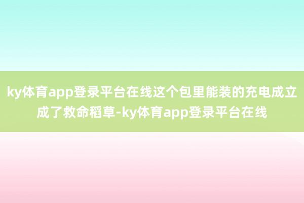 ky体育app登录平台在线这个包里能装的充电成立成了救命稻草-ky体育app登录平台在线