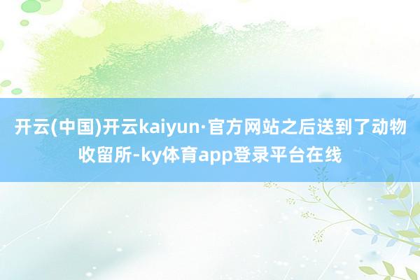 开云(中国)开云kaiyun·官方网站之后送到了动物收留所-ky体育app登录平台在线